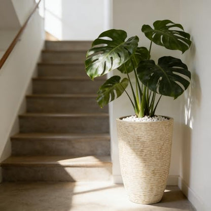 Large Round Outdoor Planter Set