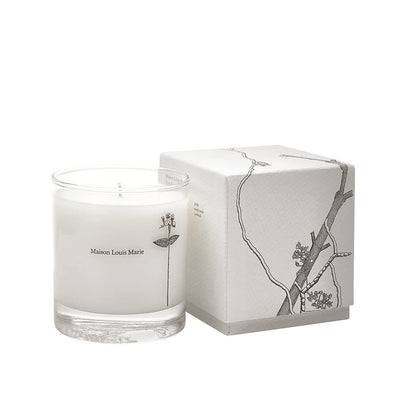 Luxury Soy Wax Fragrance Candle Jar