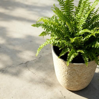 Large Round Outdoor Planter Set