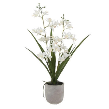 Decorative Potted Orchid Plant Arrangement