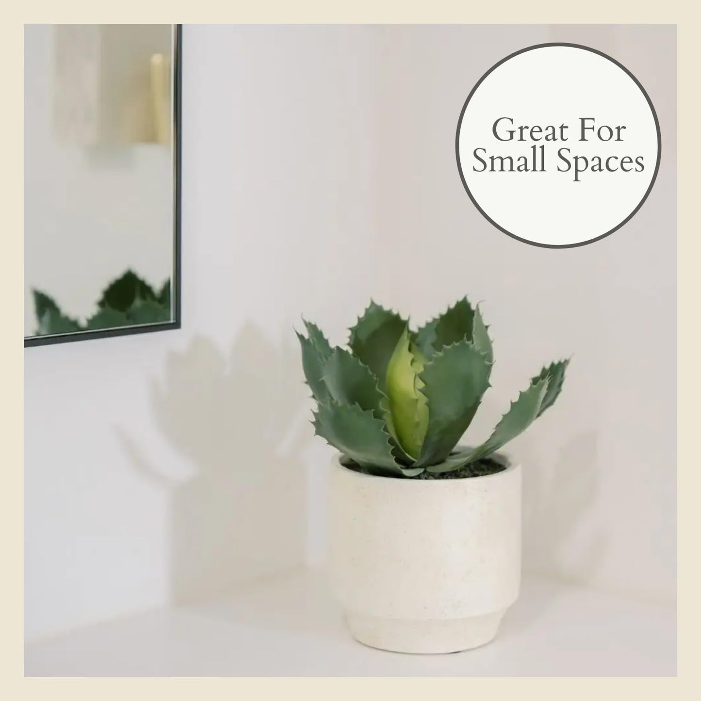 Succulent Plant Arrangement In Decorative Pot