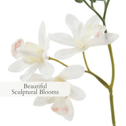 Decorative Potted Orchid Plant Arrangement