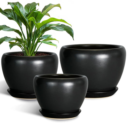 Modern Ceramic Planter With Saucer
