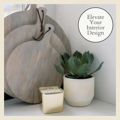 Succulent Plant Arrangement In Decorative Pot