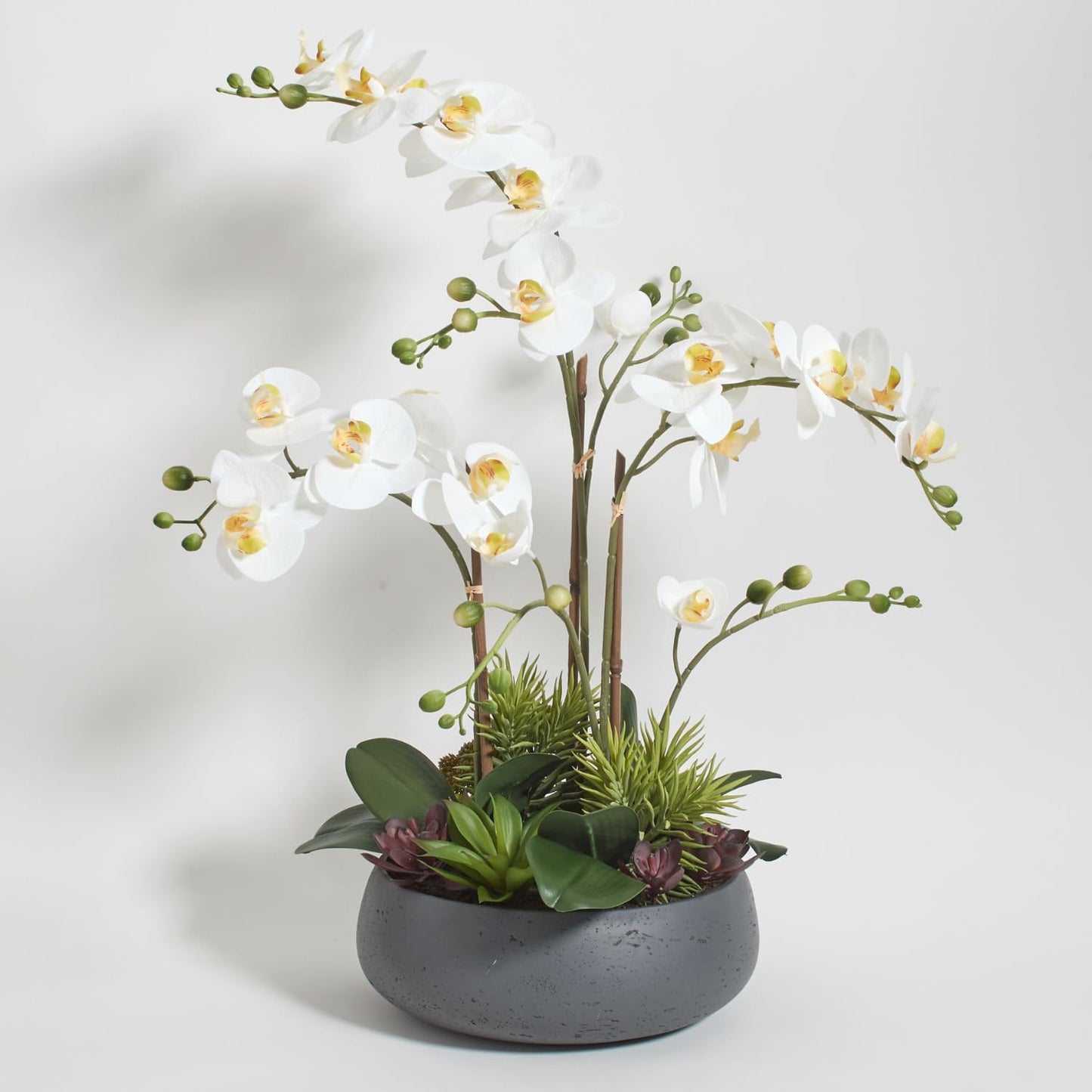 Decorative Potted Orchid Plant Arrangement