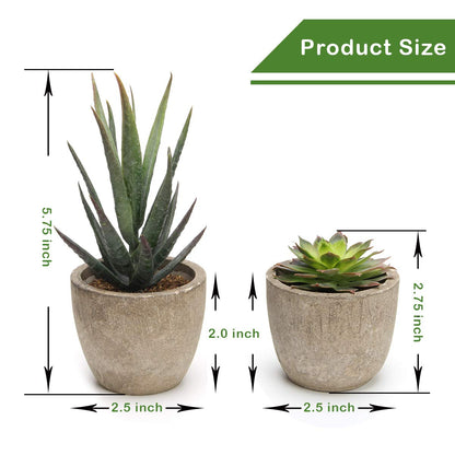 Assorted Faux Succulent Plants Set Of 5