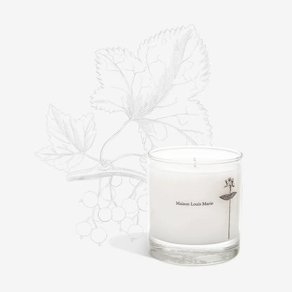 Luxury Soy Wax Fragrance Candle Jar