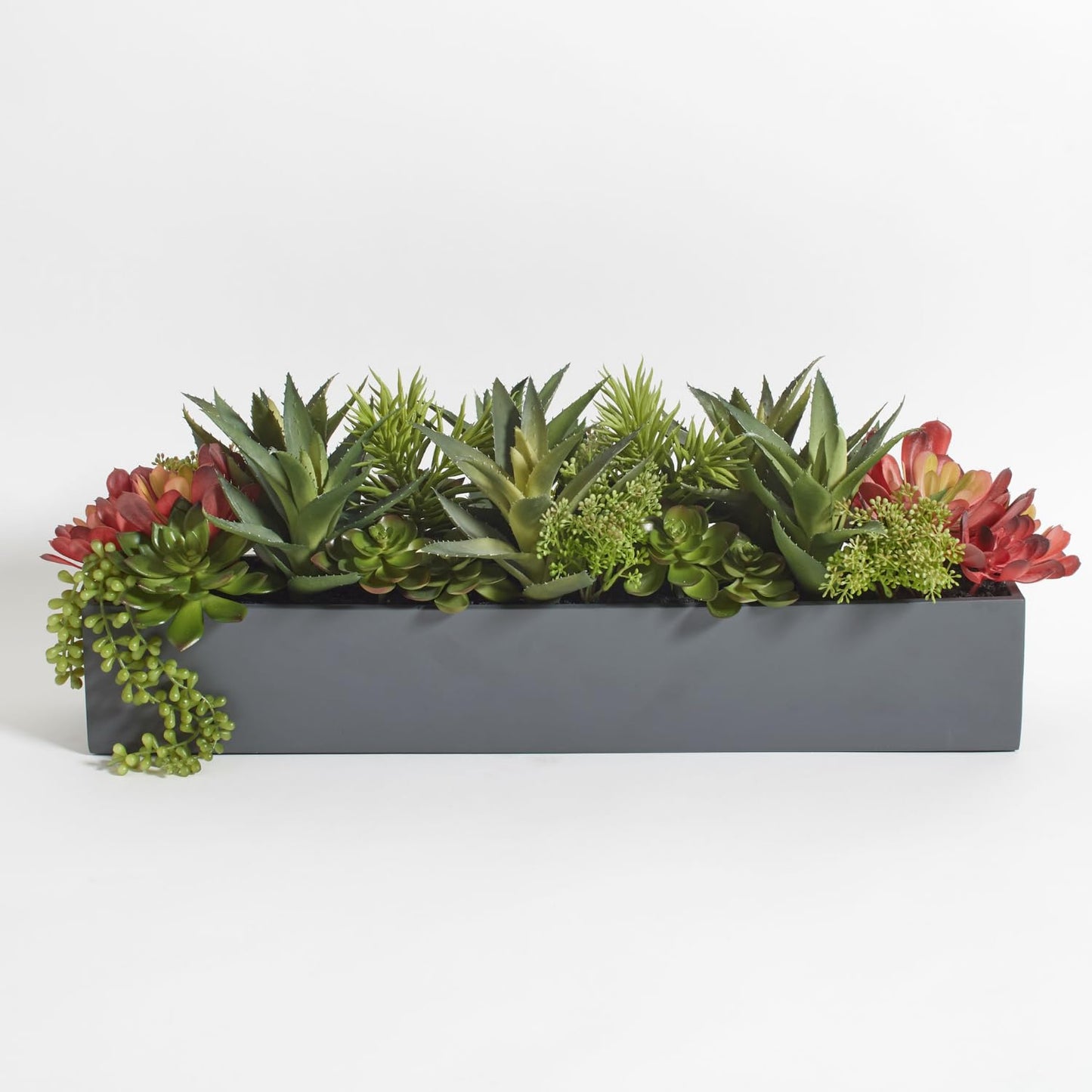 Succulent Plant Arrangement In Decorative Pot