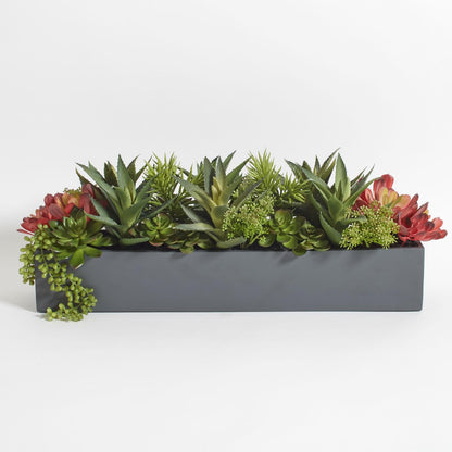 Succulent Plant Arrangement In Decorative Pot