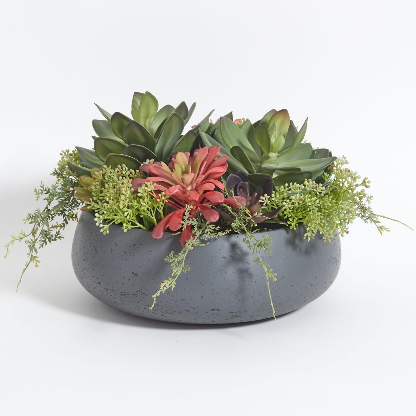 Succulent Plant Arrangement In Decorative Pot