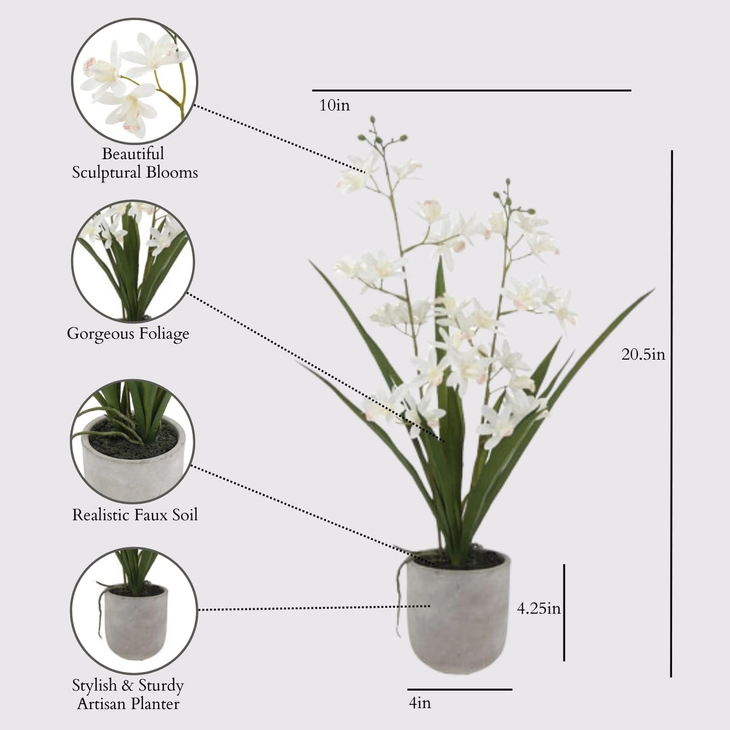 Decorative Potted Orchid Plant Arrangement