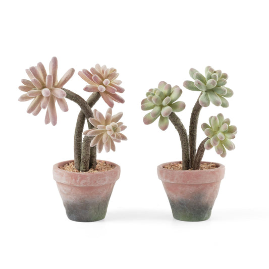 Artificial Succulent Plant Decor Set
