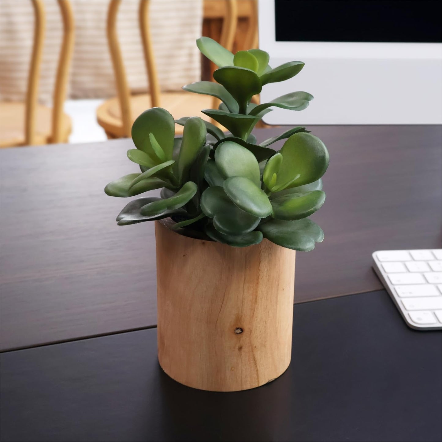 Mini Artificial Succulent Plant Set