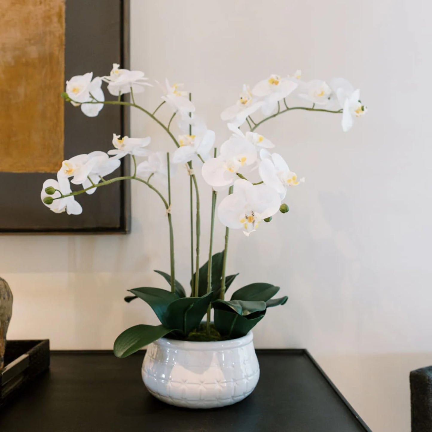 Decorative Potted Orchid Plant Arrangement