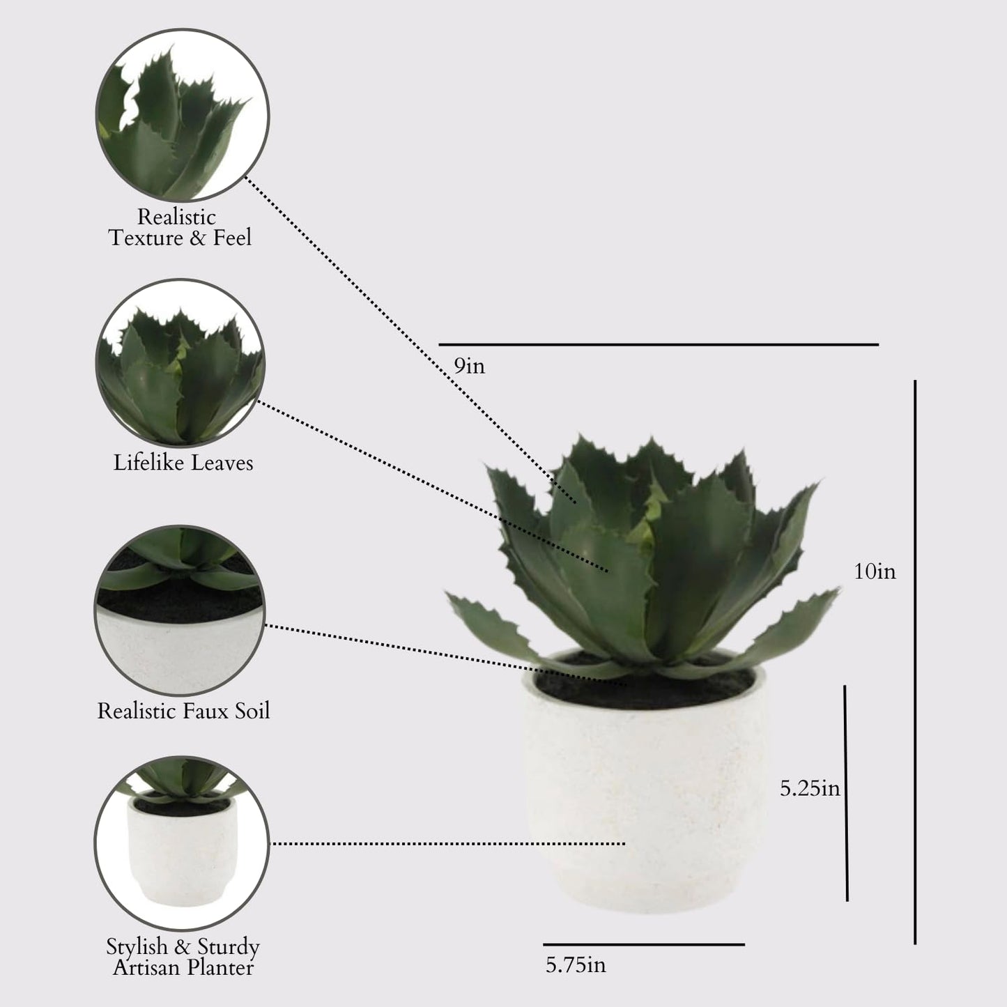 Succulent Plant Arrangement In Decorative Pot