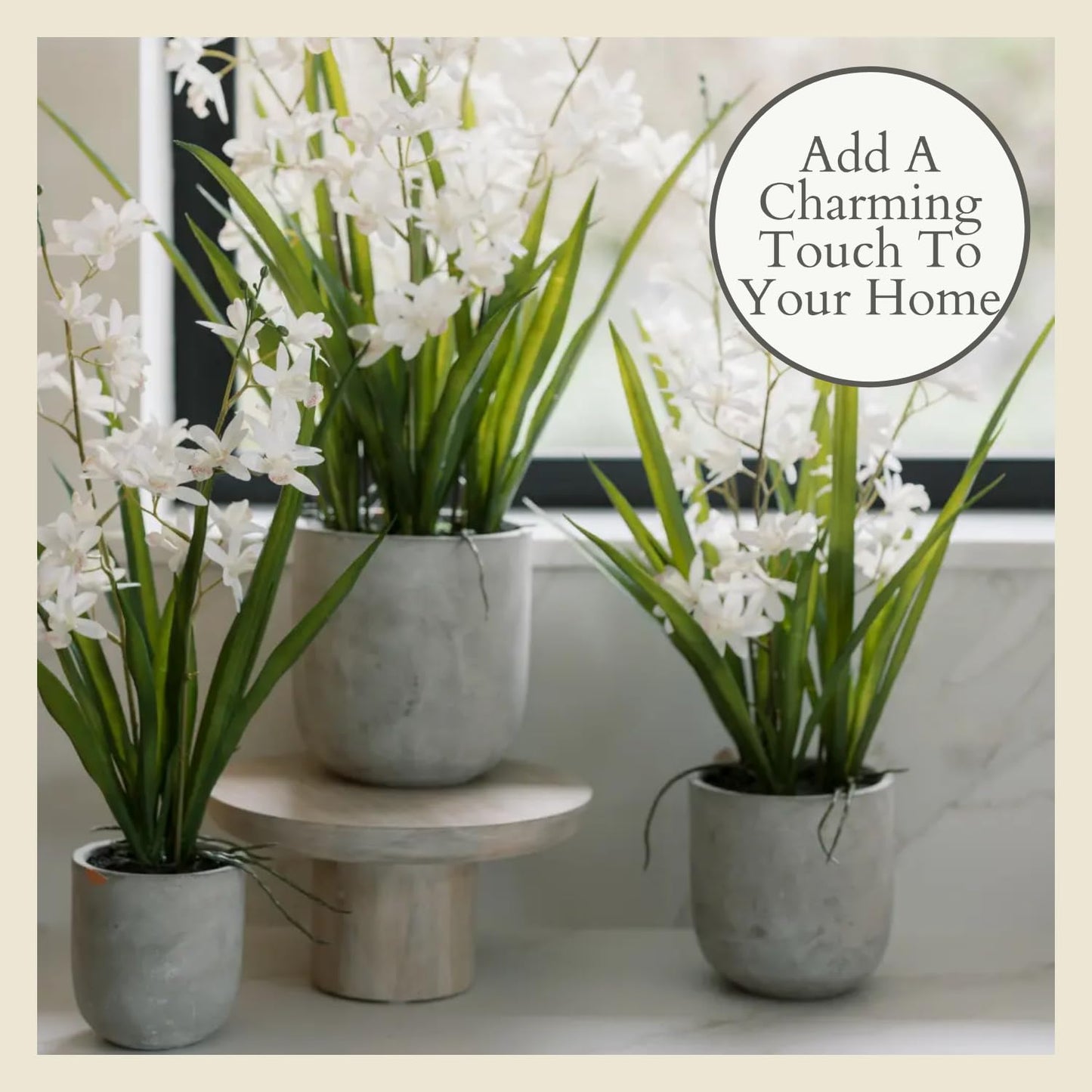 Decorative Potted Orchid Plant Arrangement