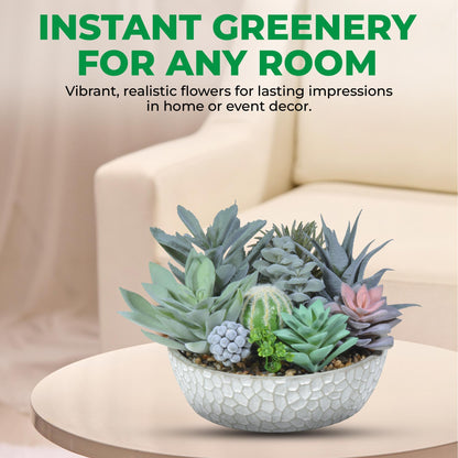 Premium Artificial Succulent Plant Collection