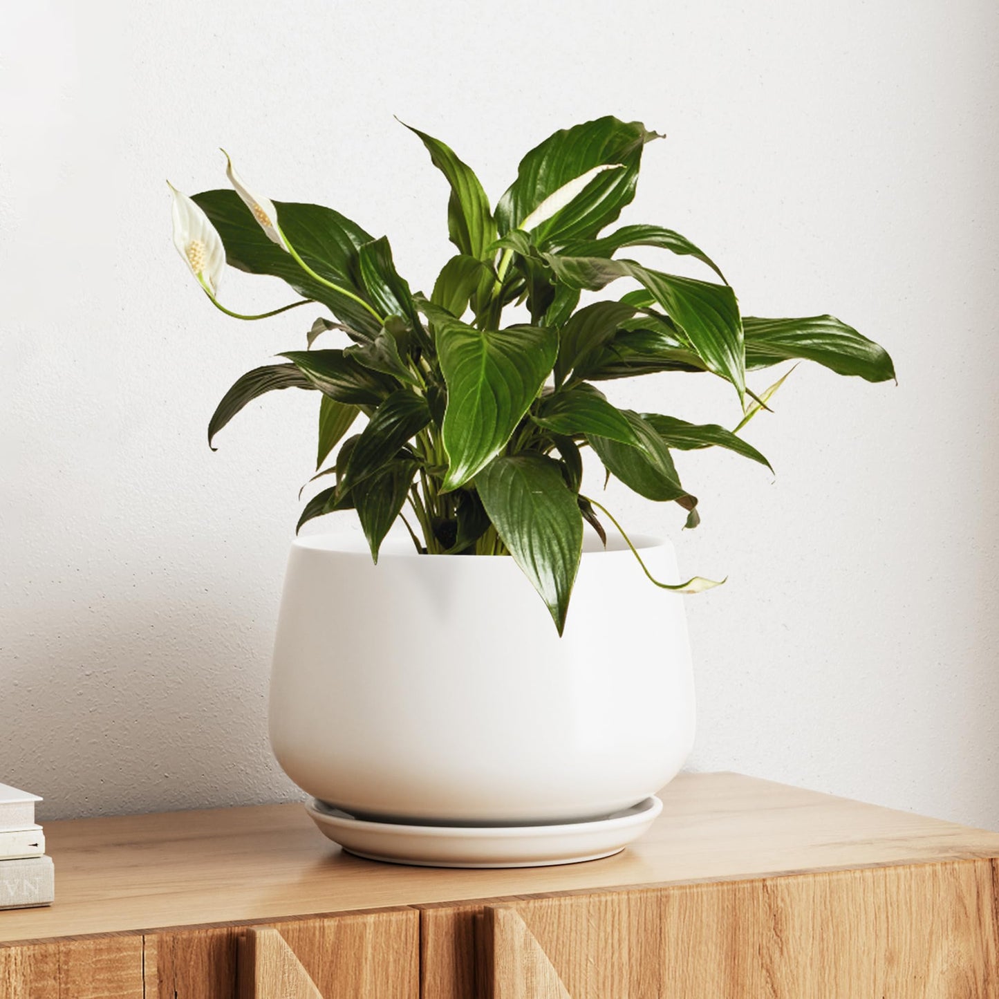 Modern Ceramic Indoor Planter Set