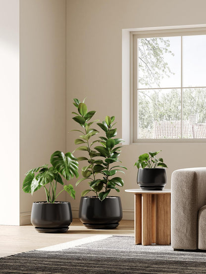 Modern Ceramic Indoor Planter Set