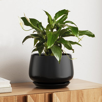 Modern Ceramic Indoor Planter Set