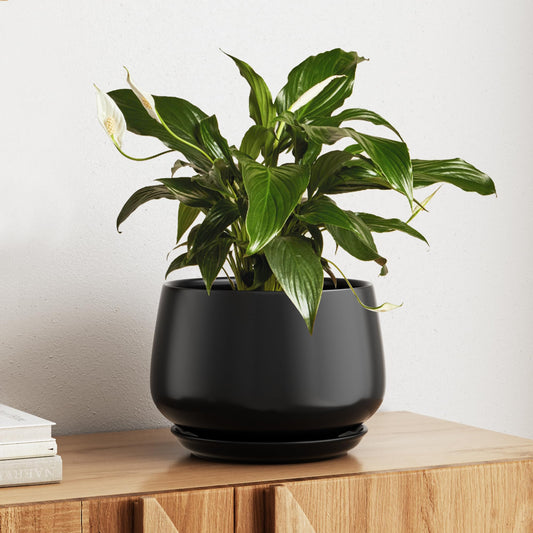Modern Ceramic Indoor Planter Set