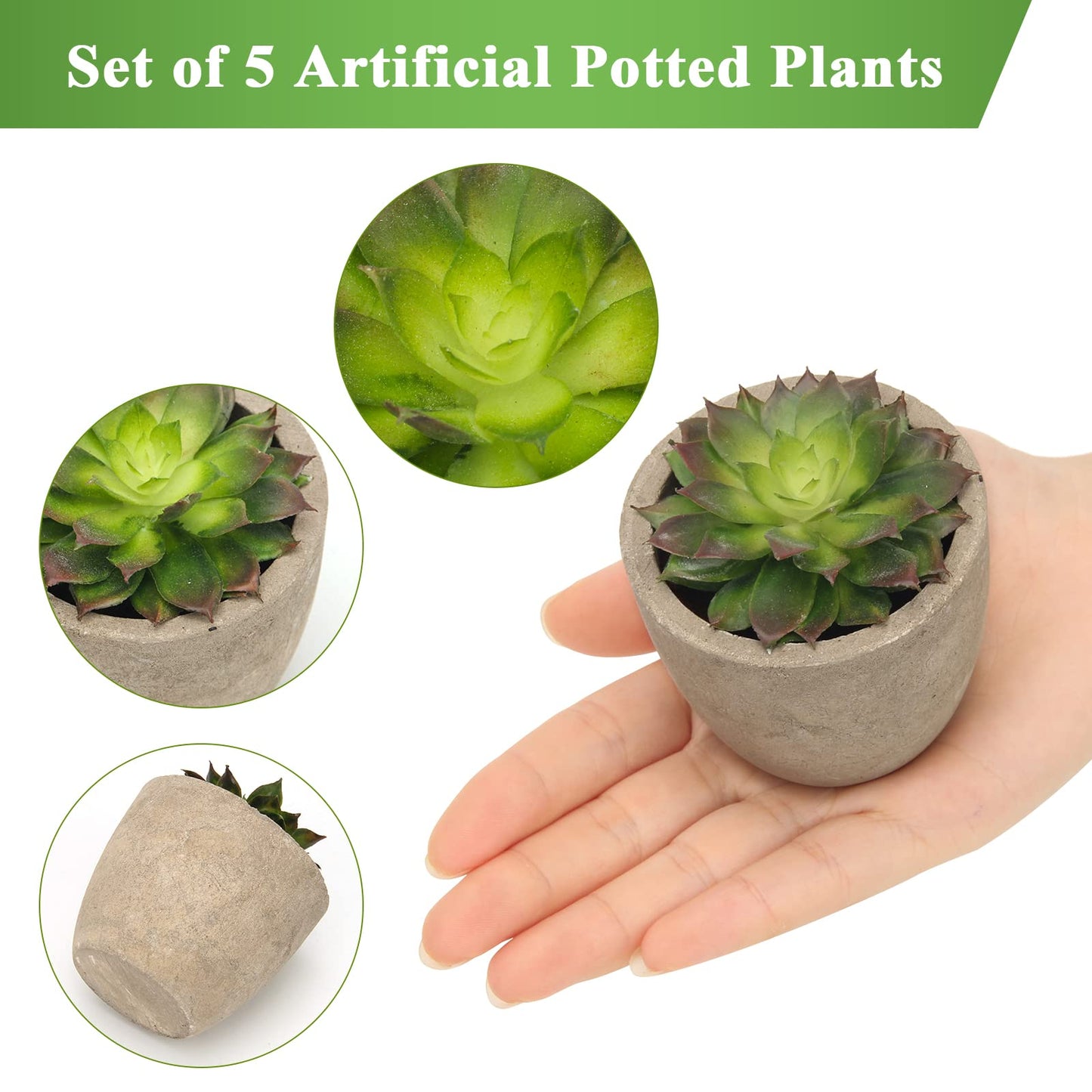Assorted Faux Succulent Plants Set Of 5