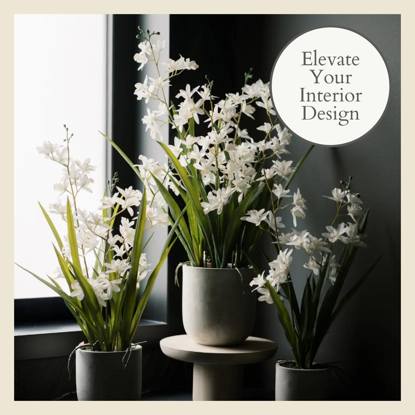 Decorative Potted Orchid Plant Arrangement