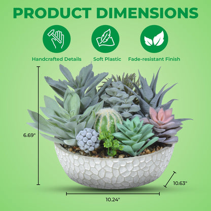Premium Artificial Succulent Plant Collection