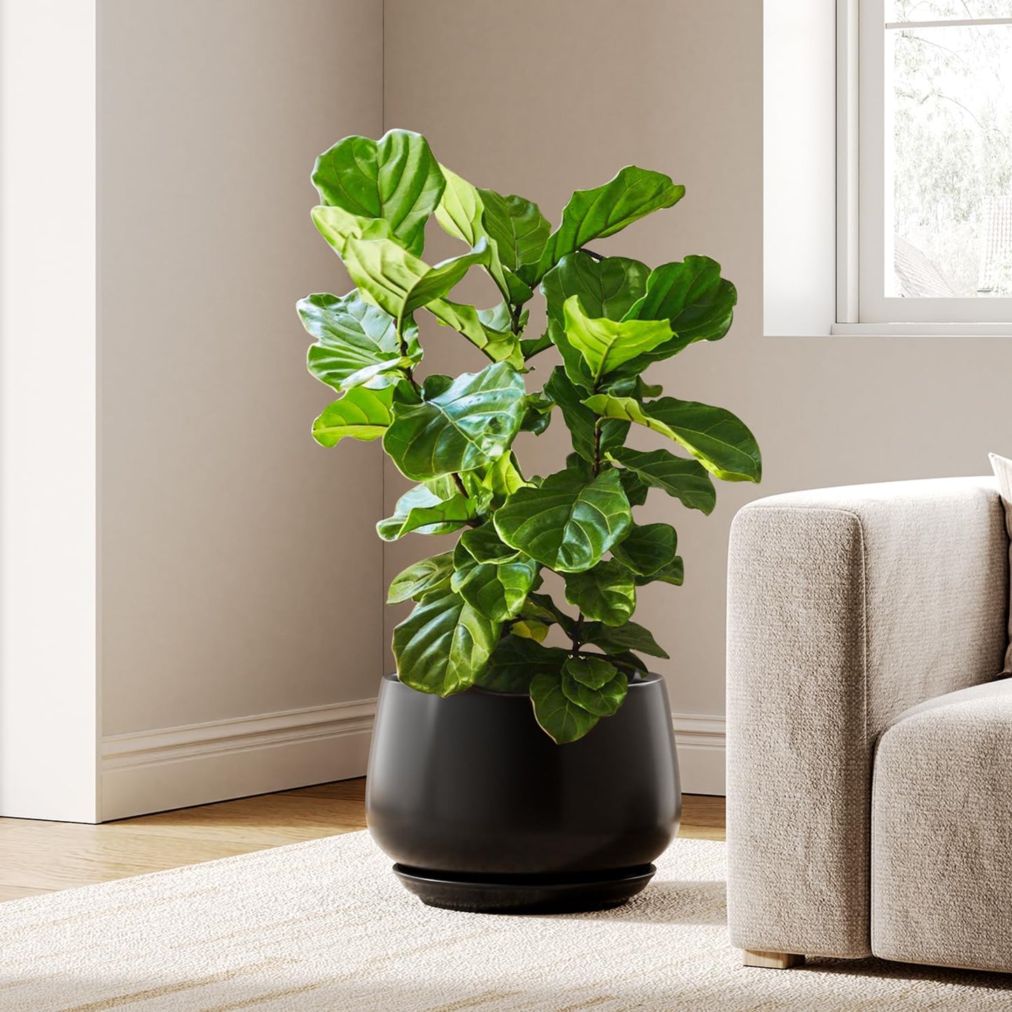 Modern Ceramic Indoor Planter Set