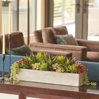 Succulent Plant Arrangement In Decorative Pot