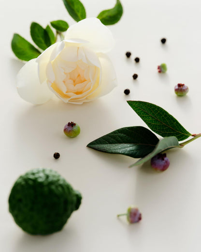 Luxury Soy Wax Fragrance Candle Jar