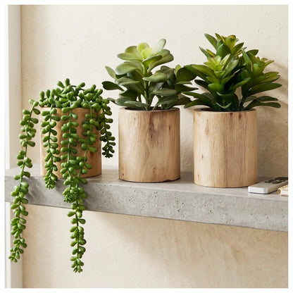 Mini Artificial Succulent Plant Set