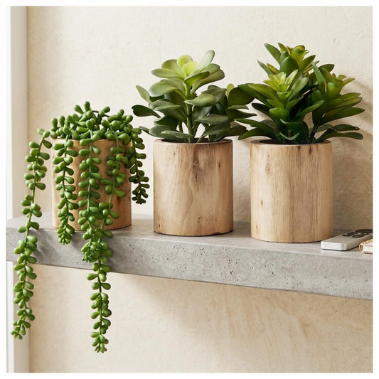 Mini Artificial Succulent Plant Set