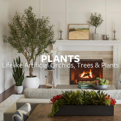 Decorative Potted Orchid Plant Arrangement