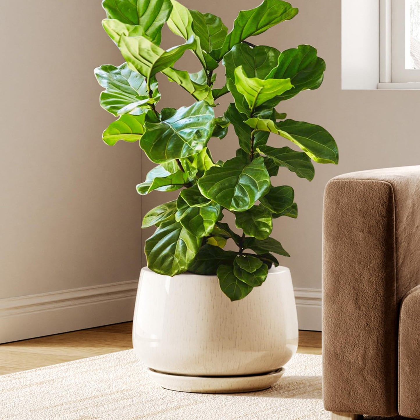 Modern Ceramic Indoor Planter Set