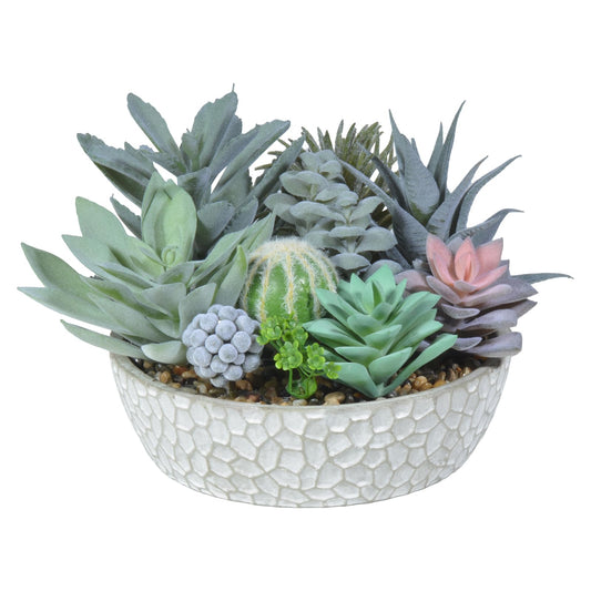 Premium Artificial Succulent Plant Collection