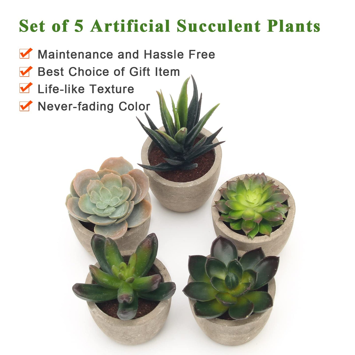 Assorted Faux Succulent Plants Set Of 5