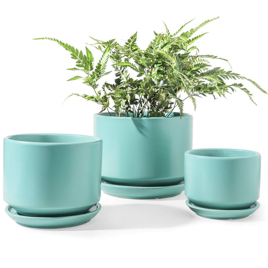 Ceramic Indoor Planter Set Of Three