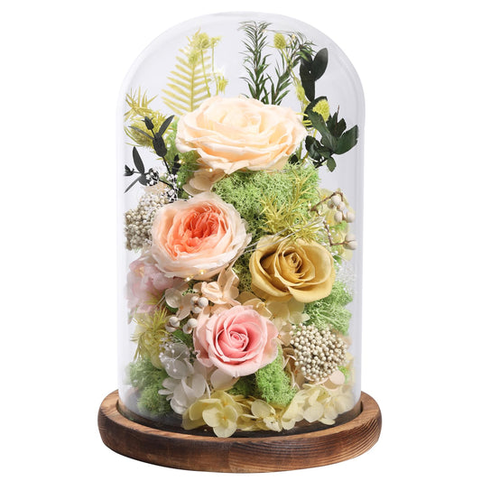 Preserved Rose Arrangement In Glass Dome