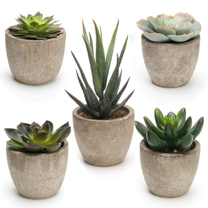 Assorted Faux Succulent Plants Set Of 5