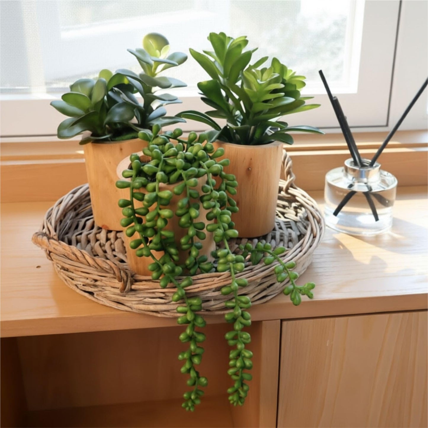 Mini Artificial Succulent Plant Set