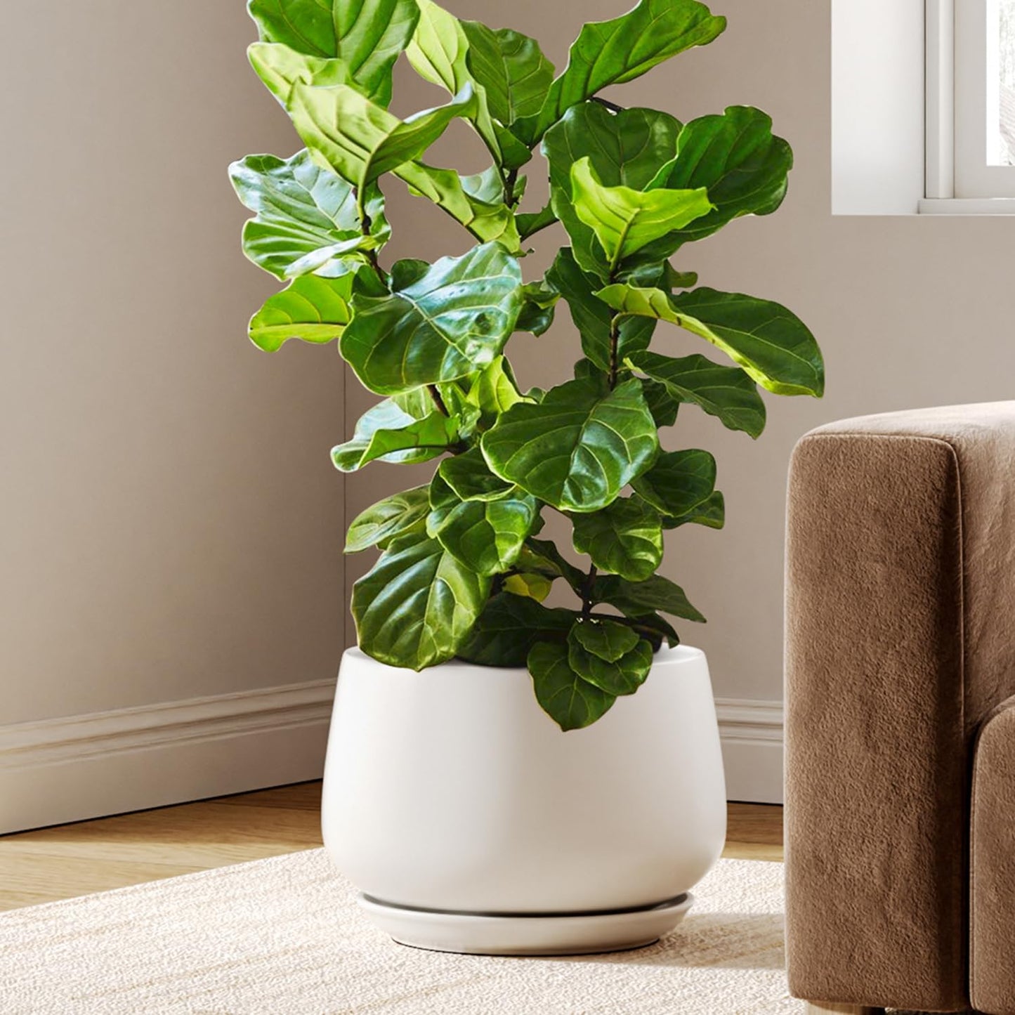 Modern Ceramic Indoor Planter Set