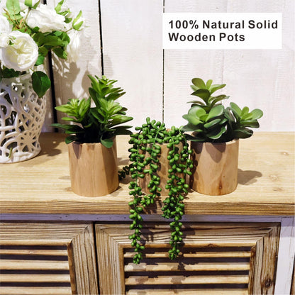 Mini Artificial Succulent Plant Set