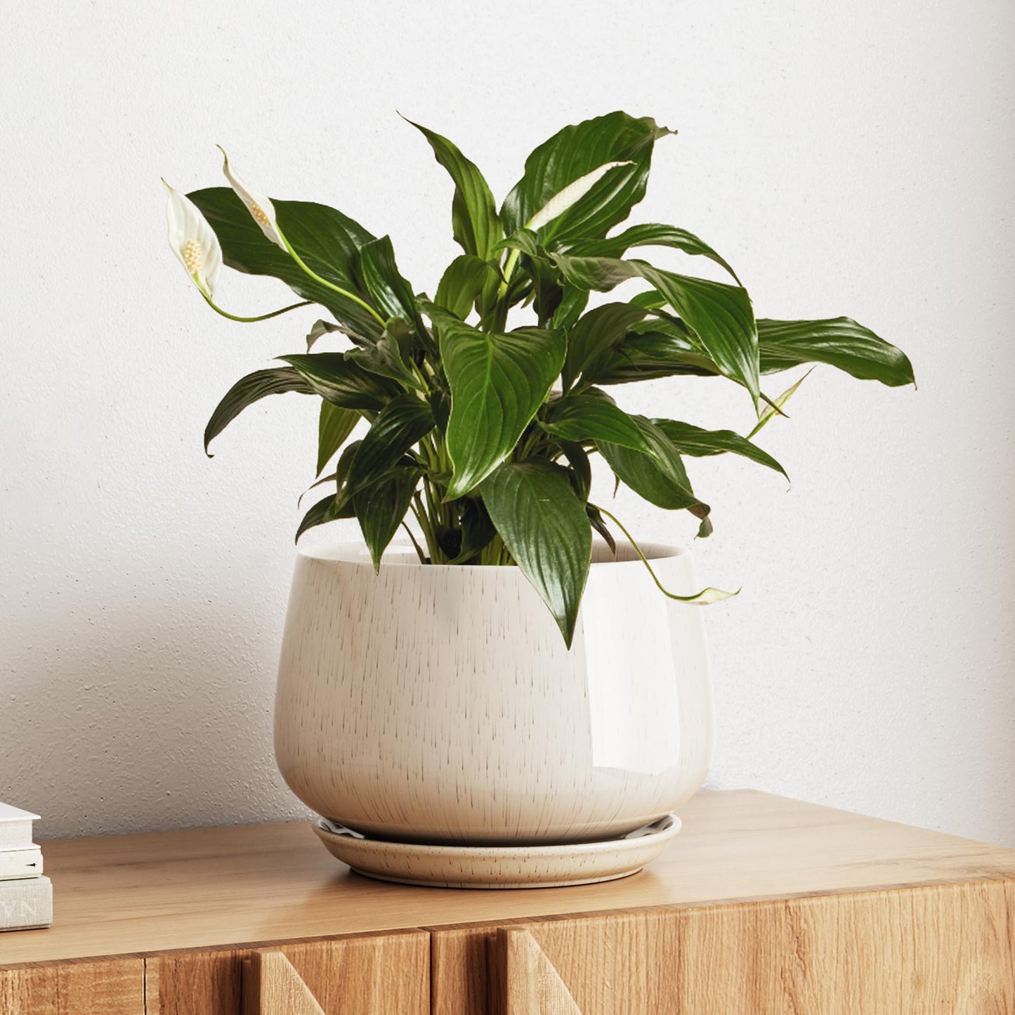 Modern Ceramic Indoor Planter Set