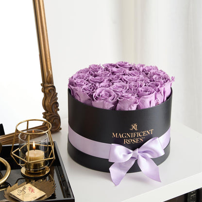 Premier Preserved Lavender Rose Collection