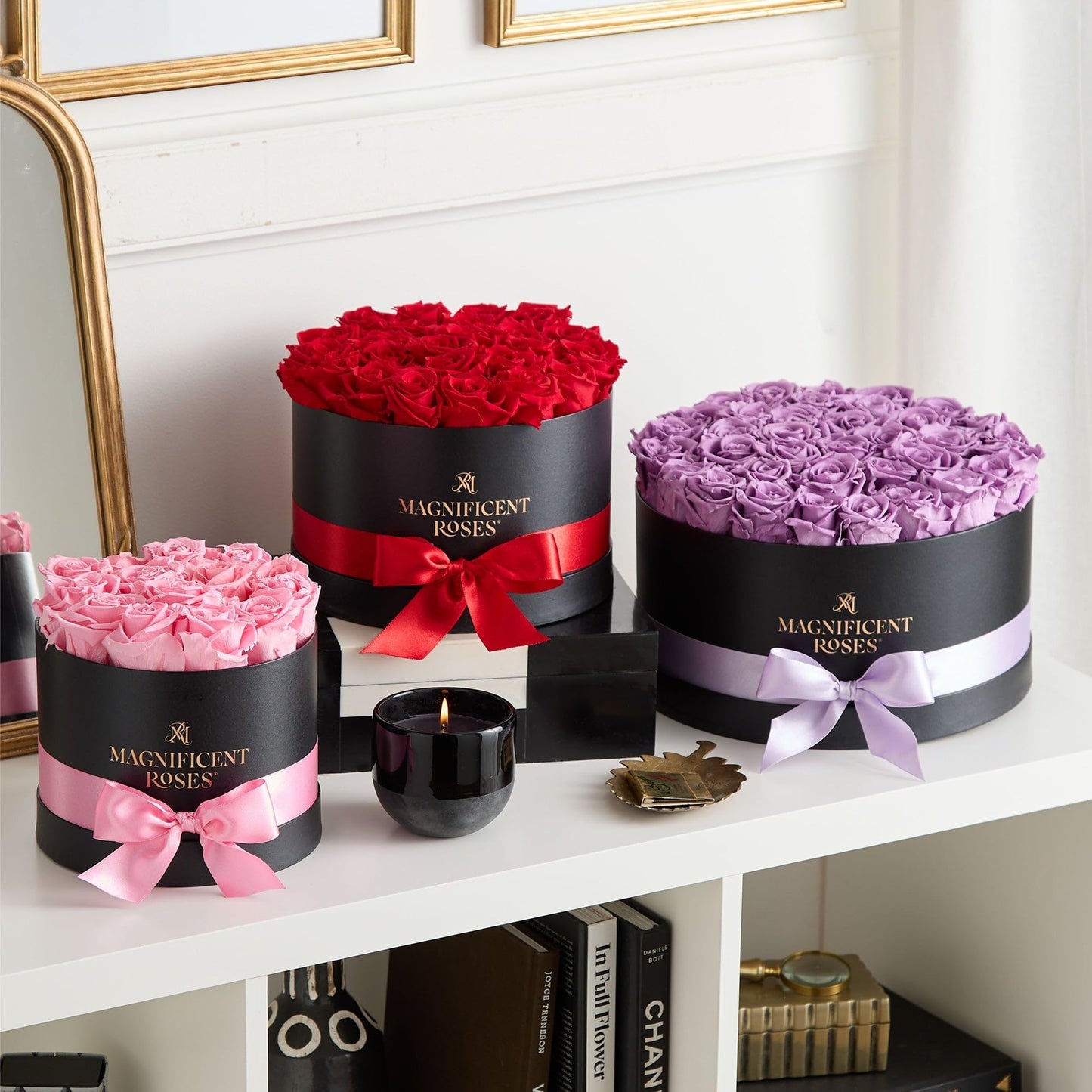 Premier Preserved Lavender Rose Collection