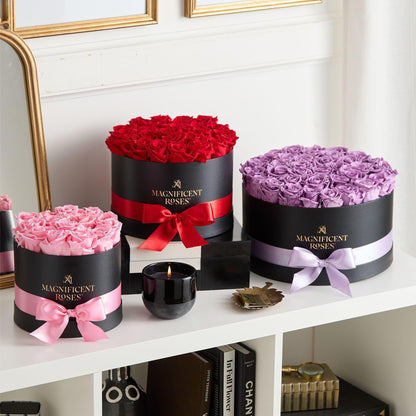 Premier Preserved Lavender Rose Collection
