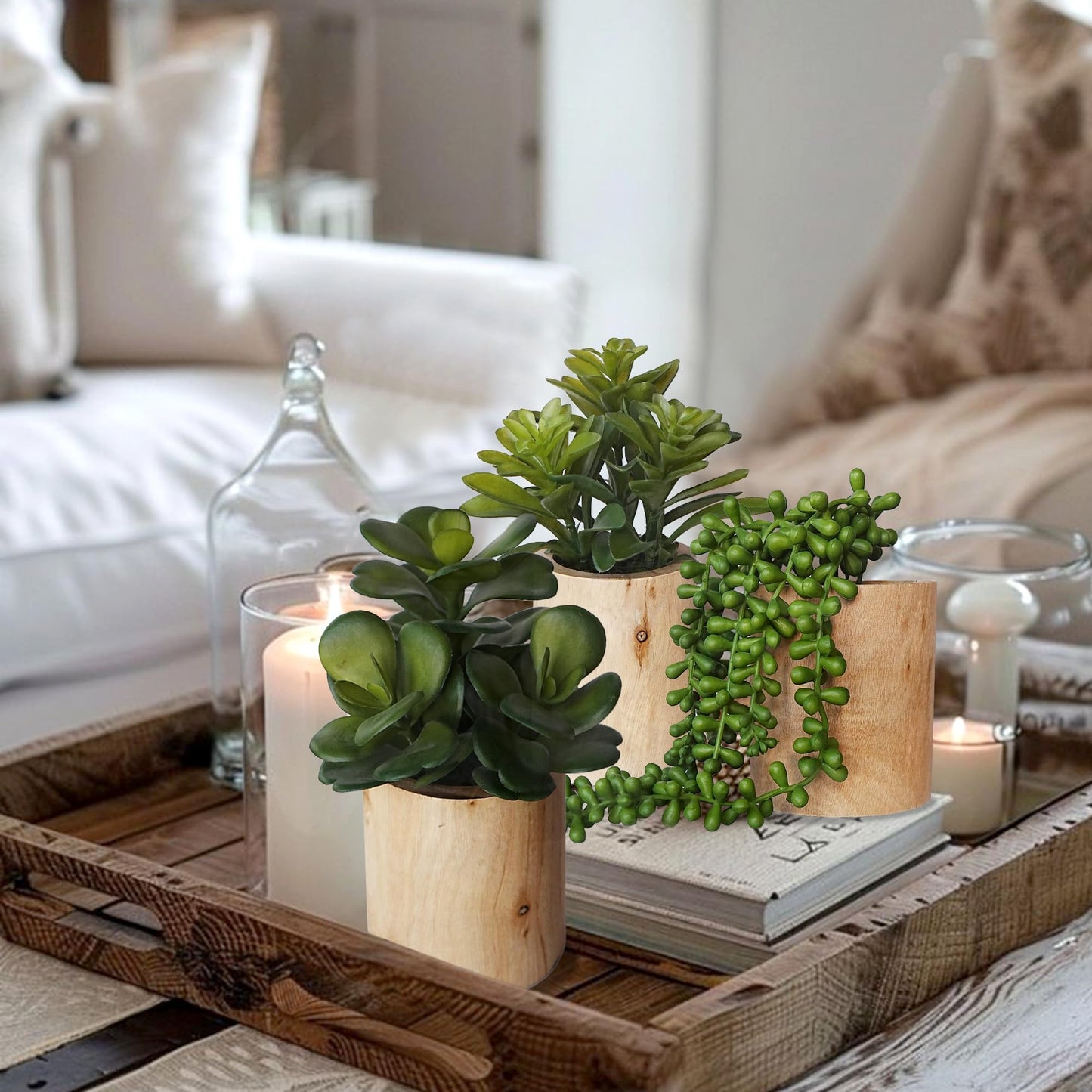 Mini Artificial Succulent Plant Set