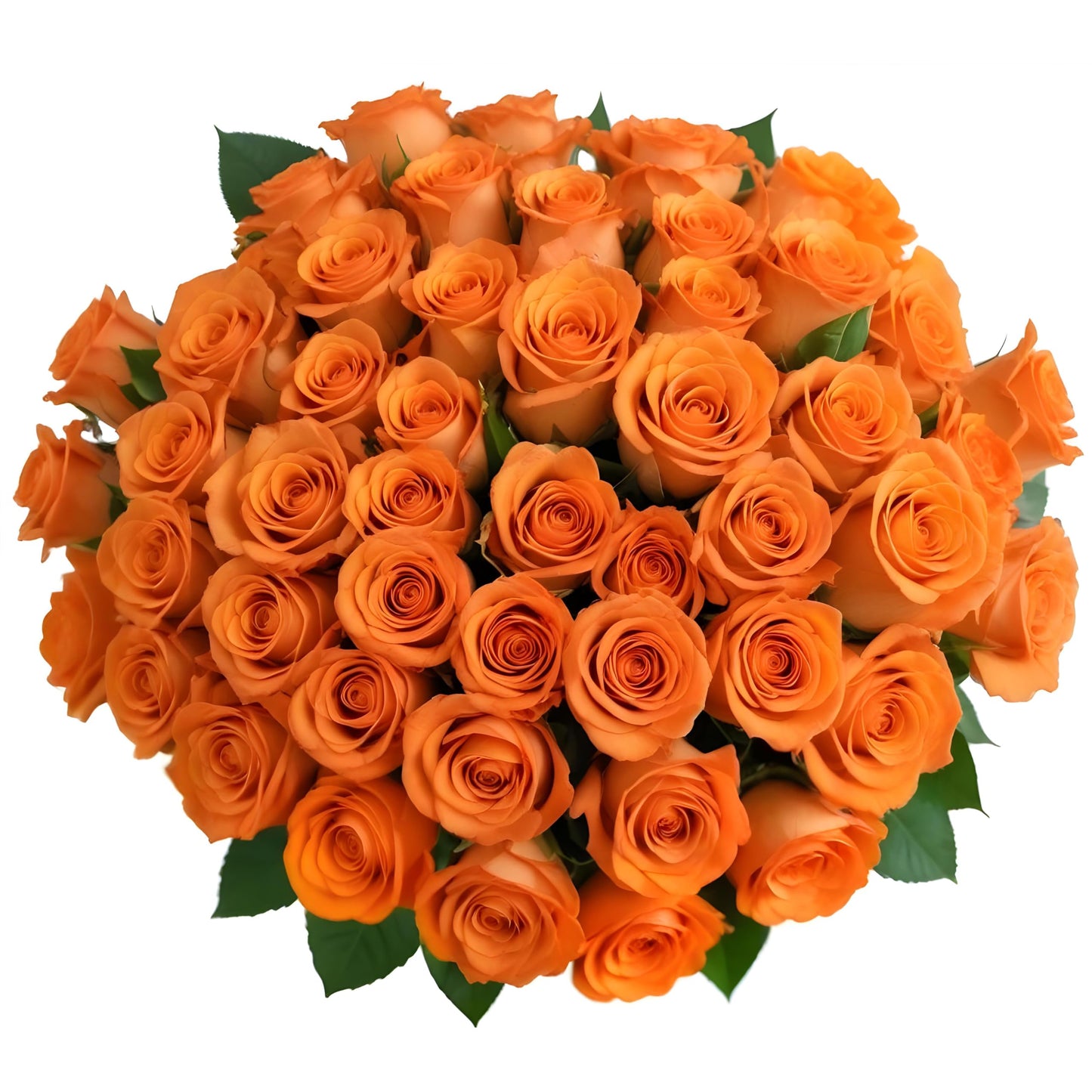 Assorted Multicolor Fresh Rose Bouquet