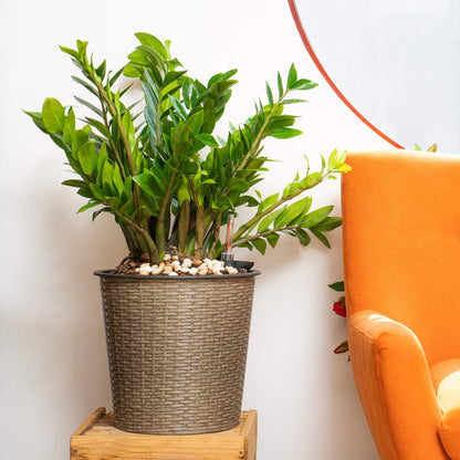 Gray Wicker Self Watering Planter